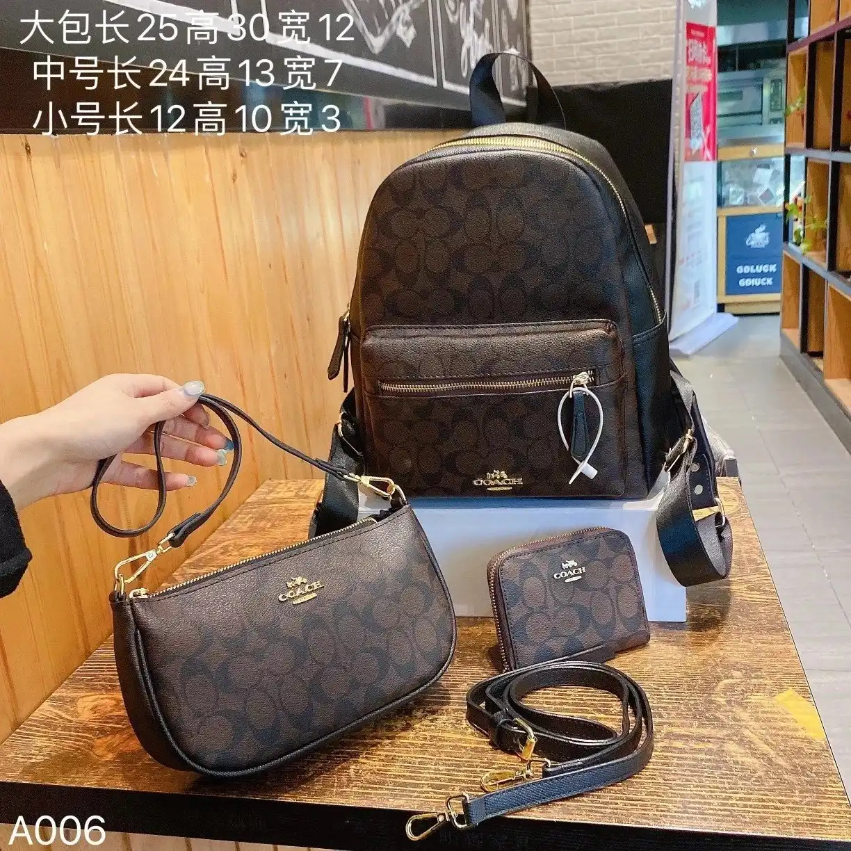 Coach Bags 3